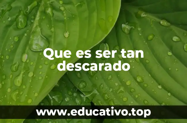 Que es ser tan descarado