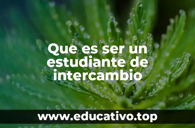 Que es ser un estudiante de intercambio