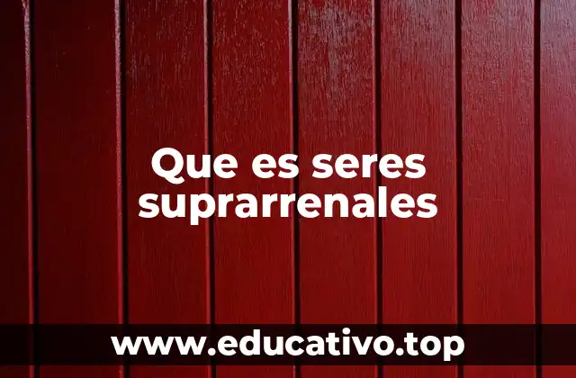 Más allá de lo humano: explorando la idea de entidades avanzadas