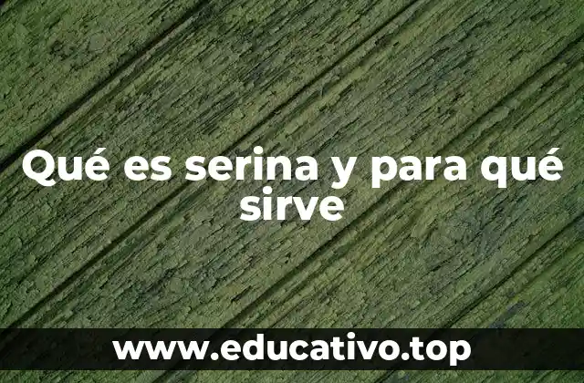 Qué es serina y para qué sirve