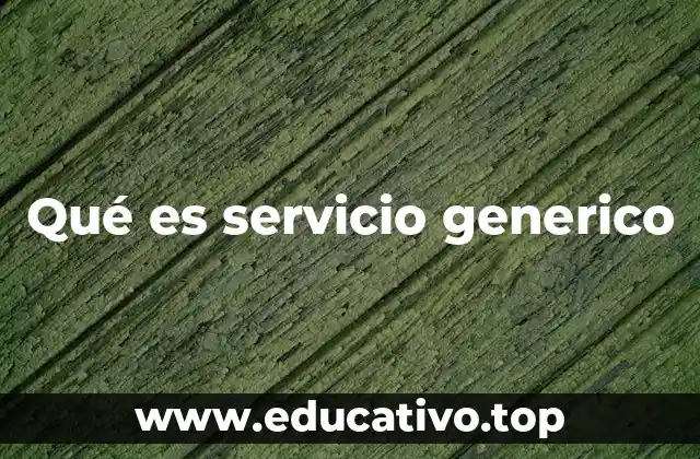 Qué es servicio generico