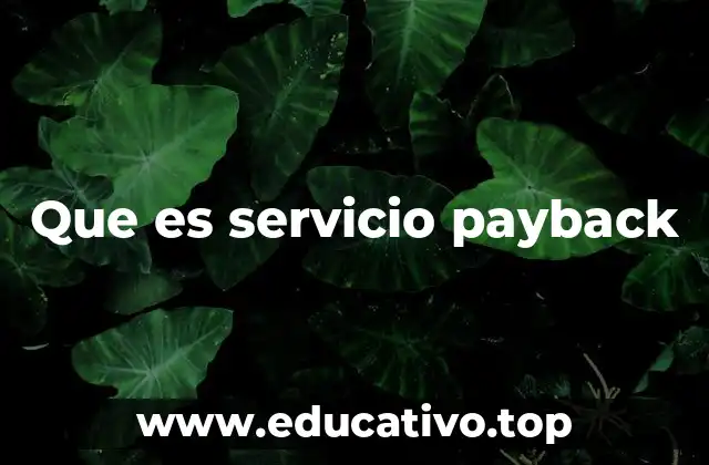 Que es servicio payback