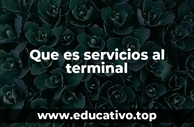 Que es servicios al terminal