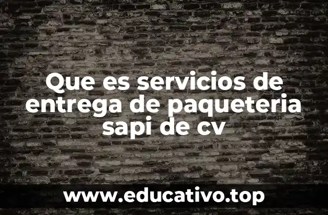 Que es servicios de entrega de paqueteria sapi de cv