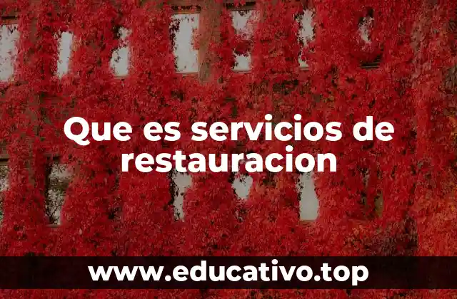 Que es servicios de restauracion