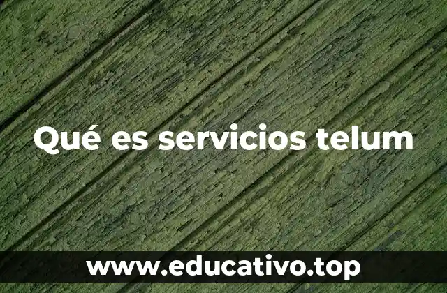 Qué es servicios telum