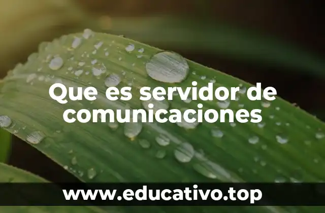 Cómo los servidores de comunicación facilitan la interacción digital
