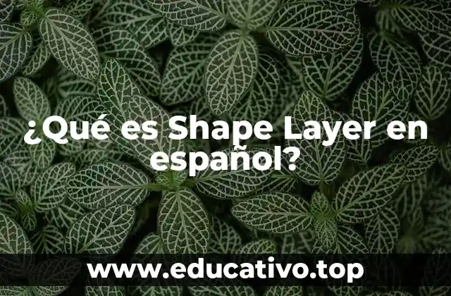 ¿Qué es Shape Layer en español?