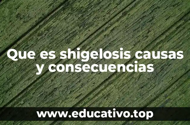 Que es shigelosis causas y consecuencias