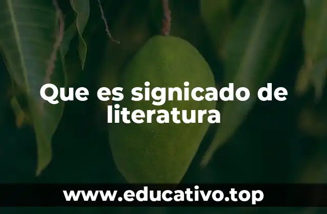 El lenguaje como herramienta para comprender el significado de literatura