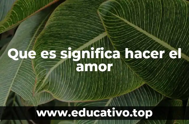 Que es significa hacer el amor