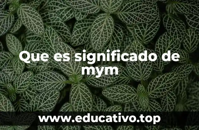 Que es significado de mym