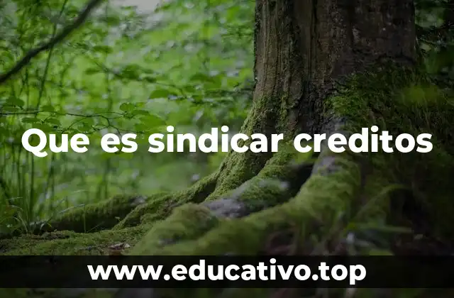 Que es sindicar creditos