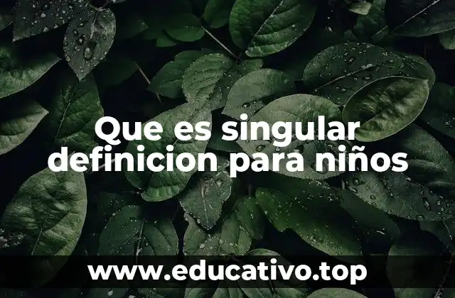 Cómo enseñar el concepto de singular a los niños