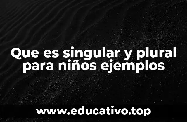 La importancia de entender el singular y el plural en el desarrollo lingüístico