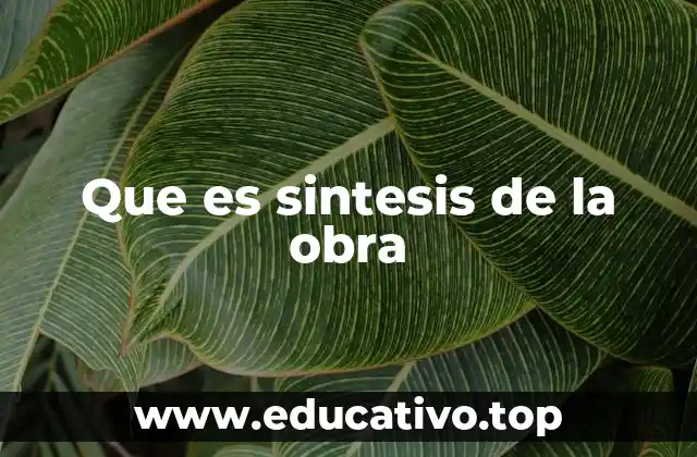 Que es sintesis de la obra