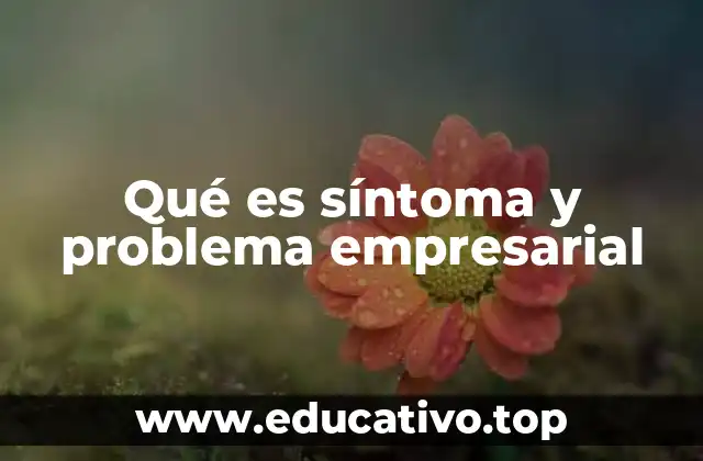 Qué es síntoma y problema empresarial