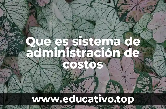 Que es sistema de administración de costos