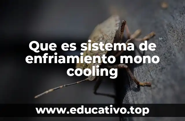 Cómo funciona el sistema de enfriamiento mono cooling