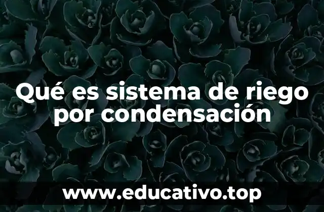 ¿Cómo funciona el sistema de riego por condensación?