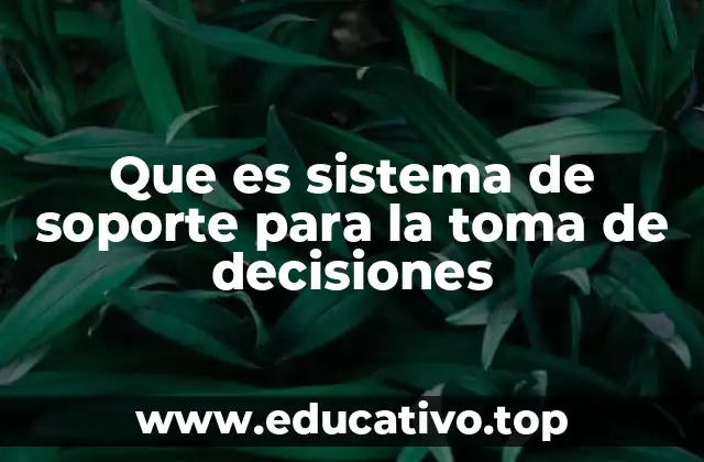 Que es sistema de soporte para la toma de decisiones