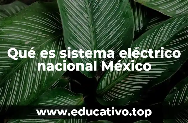 Qué es sistema eléctrico nacional México