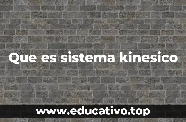 Que es sistema kinesico