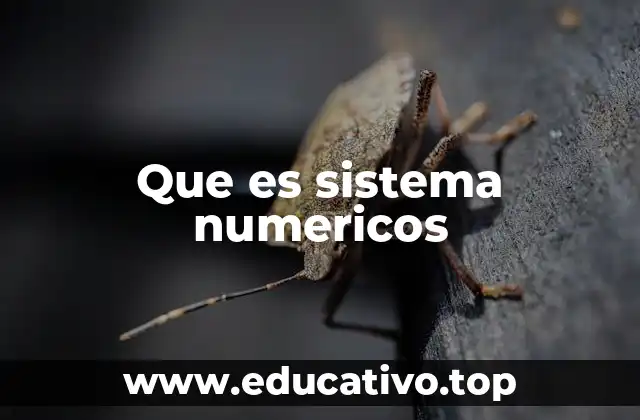 Que es sistema numericos