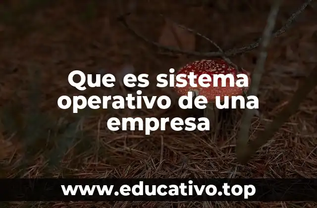 Que es sistema operativo de una empresa