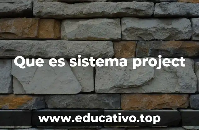 Que es sistema project