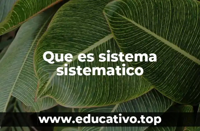 Que es sistema sistematico