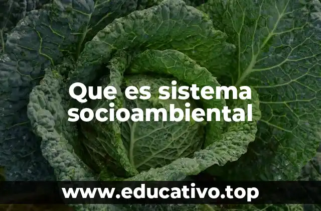 Que es sistema socioambiental