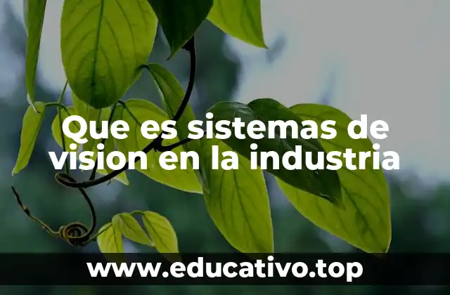 Que es sistemas de vision en la industria
