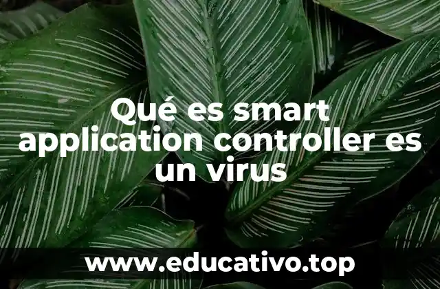 Cómo identificar si Smart Application Controller es seguro o no