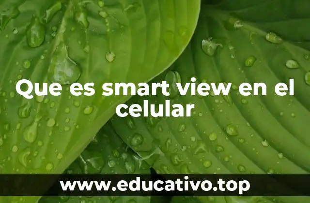Que es smart view en el celular