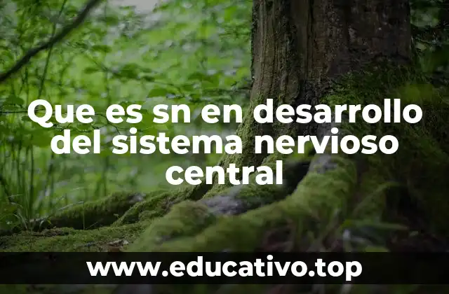 Que es sn en desarrollo del sistema nervioso central