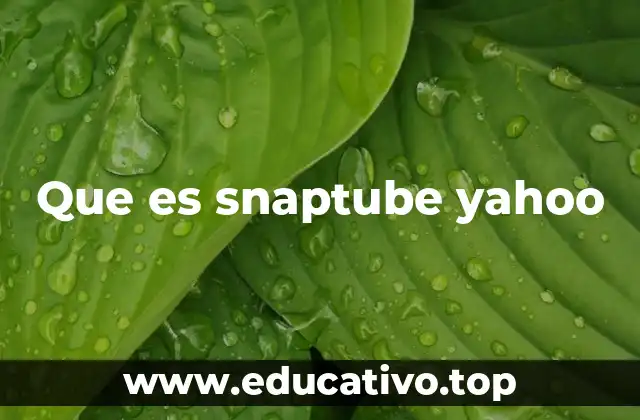 Cómo funciona Snaptube sin mencionar directamente Yahoo