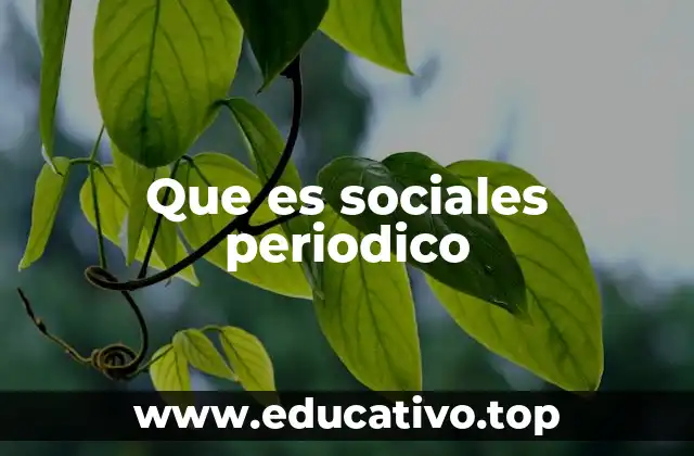Que es sociales periodico