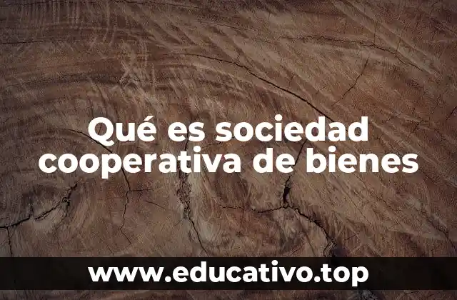 Estructura y funcionamiento de las cooperativas