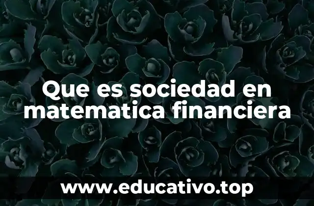 Que es sociedad en matematica financiera