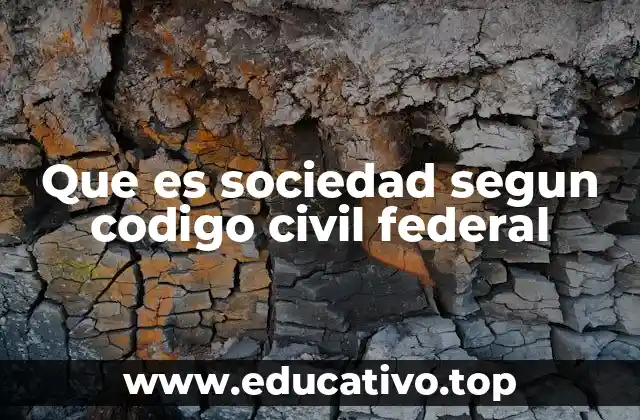 Que es sociedad segun codigo civil federal