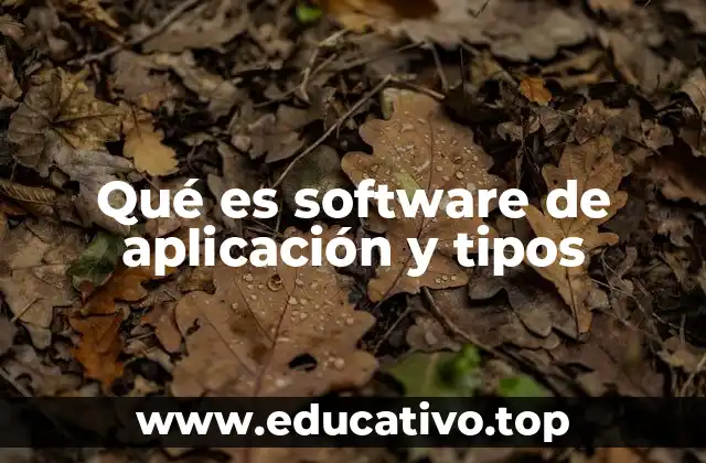 Cómo diferenciar el software de aplicación del resto del software