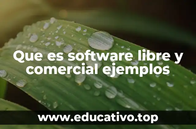 Las diferencias entre software libre y comercial en el contexto empresarial