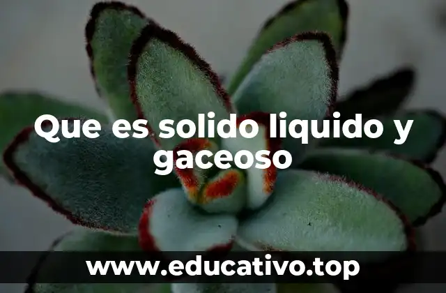 Que es solido liquido y gaceoso