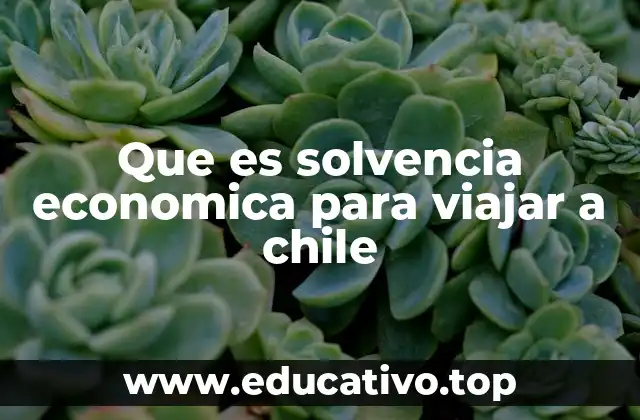 Cómo demostrar tu capacidad financiera para viajar a Chile