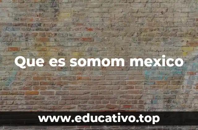 Que es somom mexico