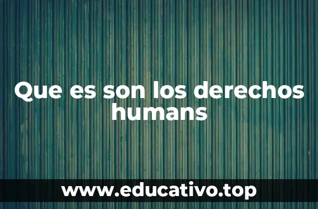 Los pilares que sustentan la protección de los derechos humanos