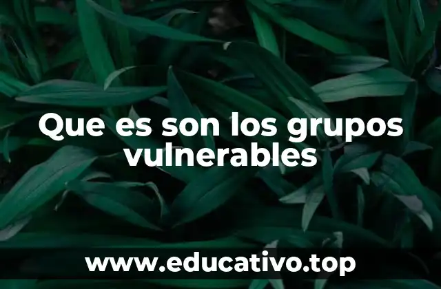Que es son los grupos vulnerables