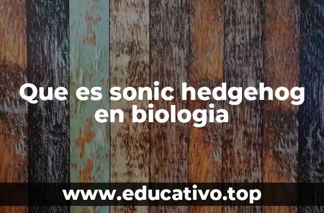 Que es sonic hedgehog en biologia