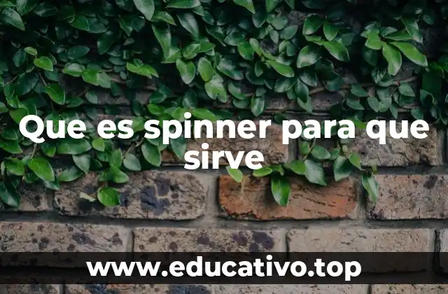 Que es spinner para que sirve